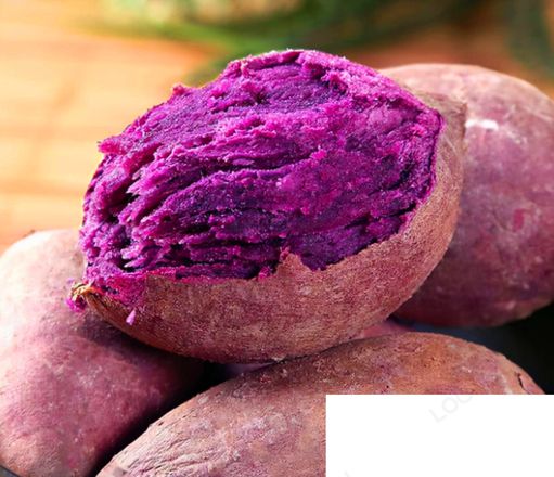 红薯和紫薯是同一物种吗 紫薯和红薯有什么区别