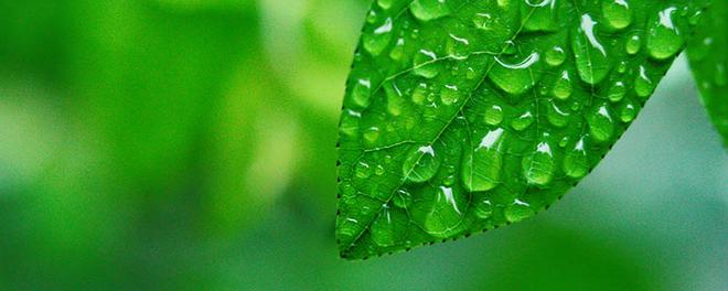 雨天开窗通风进潮气吗 雨天开窗通风会不会进潮气