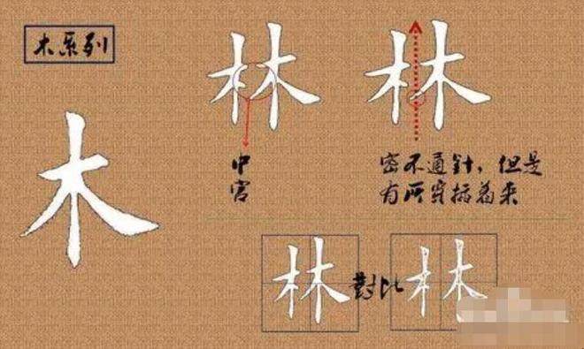 林字旁的字有哪些