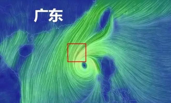 台风白色预警等级是高还是低