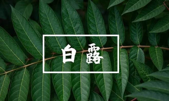 白露属于哪个季节