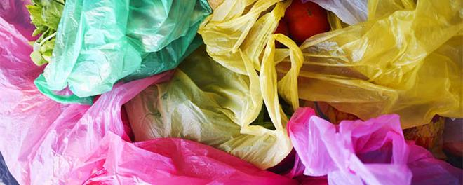 摄图网_501460555_五颜六色的水果蔬菜塑料购物袋俯视图（企业商副本.jpg