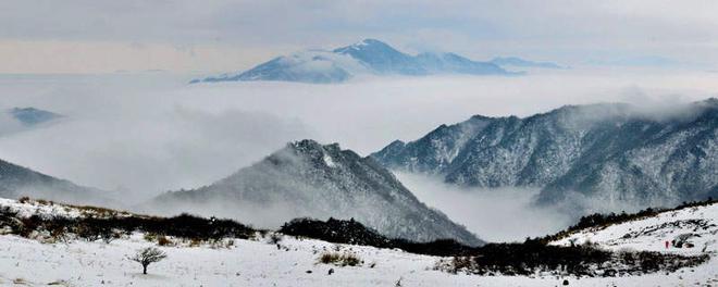 终南山在哪里 终南山在哪里哪个省