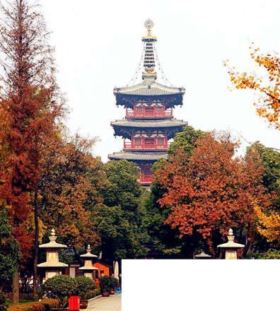 想体验姑苏城外寒山寺夜半歌声到客船应该去苏州还是杭州 蚂蚁庄园8月5日答案