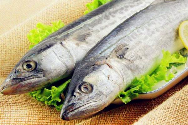 鲅鱼功效与作用及禁忌 鲅鱼营养价值