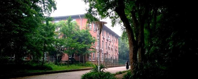 华中师范大学 (2).jpg