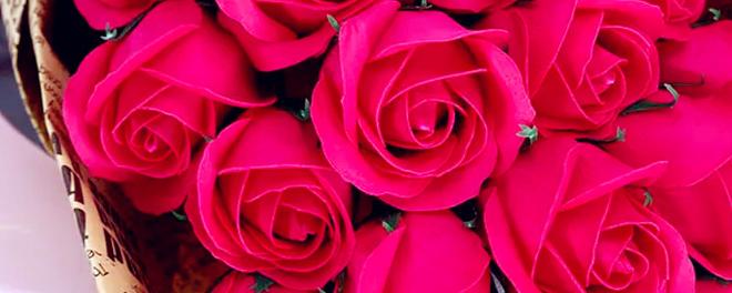 十八朵红玫瑰花代表什么意思