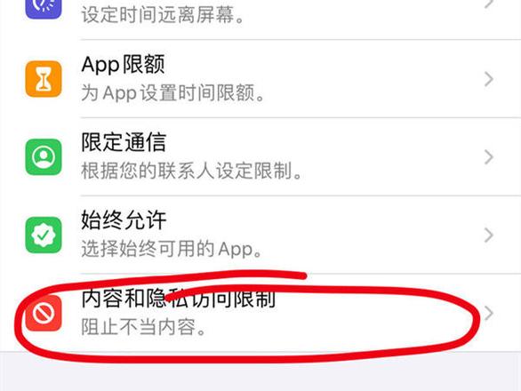 iphone访问限制在哪 苹果设置访问限制方法