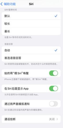 iOS 16 Siri 使用小技巧有哪些 iOS 16 Siri 使用小技巧介绍