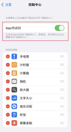 iPhone 无法在应用内使用“控制中心”功能怎么办