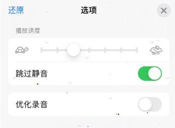 语音备忘录跳过静音怎么设置 语音备忘录跳过静音设置方法