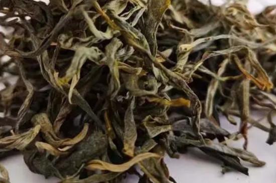 大叶茶属于什么茶