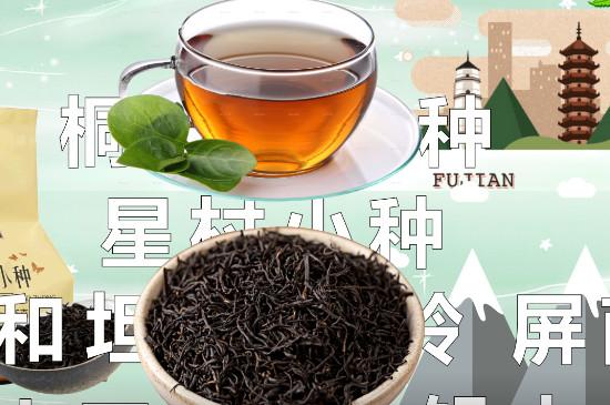 优质的茶