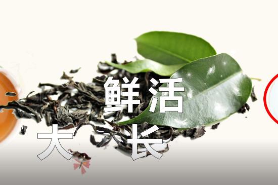 优质的茶