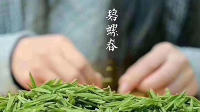 优质的茶