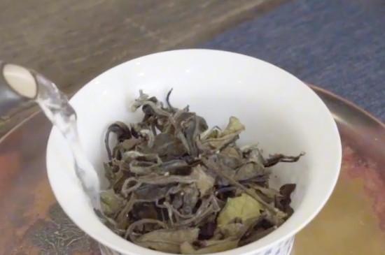 优质的茶