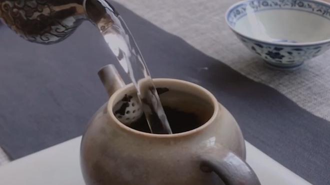 优质的茶