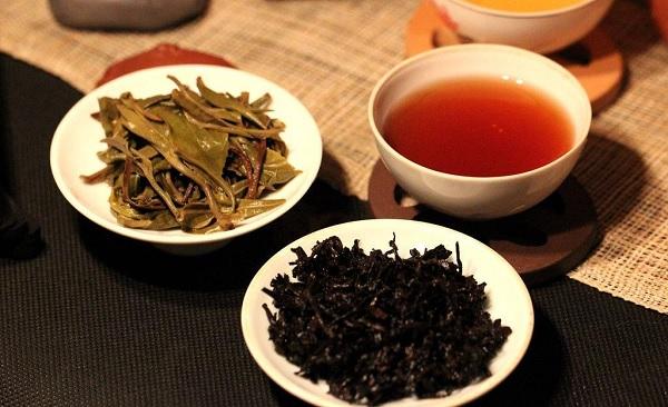 大叶普洱茶与小叶普洱茶的区分插图