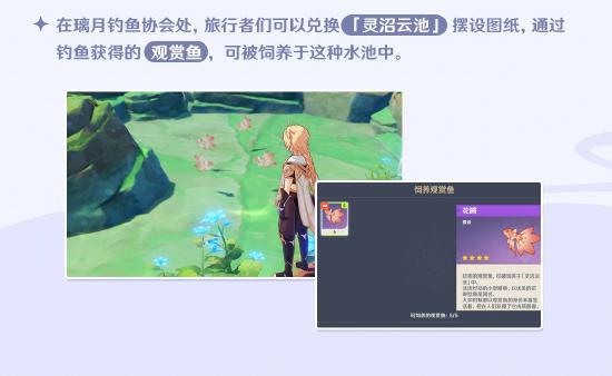 2.1版本更新速递：「钓鱼」玩法说明