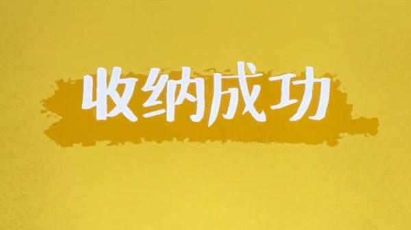 抖音收纳达人游戏攻略大全 全关卡通关图文总汇[多图]图片1