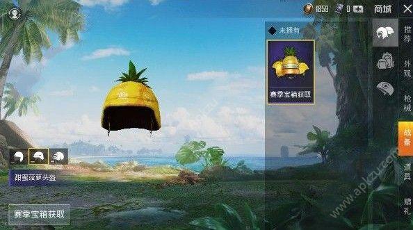 和平精英菠萝头盔怎么得 菠萝头盔获取攻略[多图]图片2