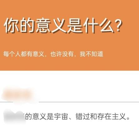 你的意义是什么为什么会火 你的意义是什么鬼东西信息会泄露吗[多图]图片1