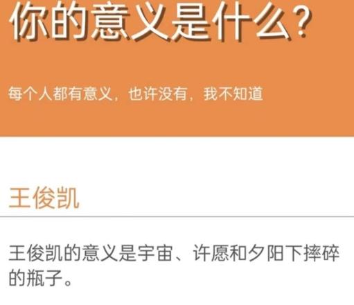 你的意义是什么为什么会火 你的意义是什么鬼东西信息会泄露吗[多图]图片2