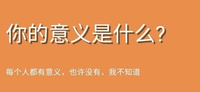 你的意义是什么鬼东西 你的意义是什么鬼东西测试入口[多图]图片1