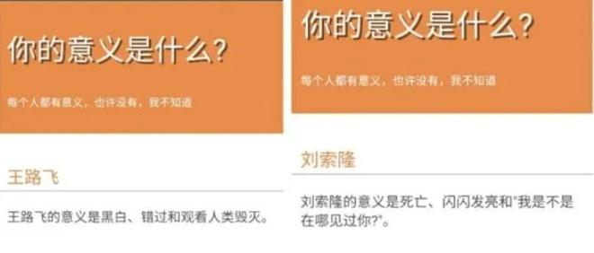 你的意义是什么鬼东西 你的意义是什么鬼东西测试入口[多图]图片3