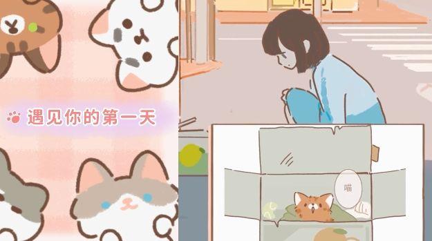 遇见你的猫猫蛋怎么抓 高概率抓猫蛋技巧一览[多图]图片1