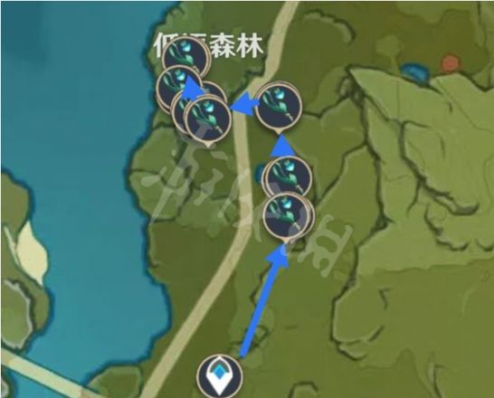 《原神攻略》2.6小燈草如何收集？2.6小燈草收集路線推薦