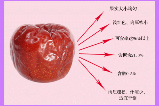 山西省万荣苹果介绍（灵石荆条蜂蜜等十大特产介绍）