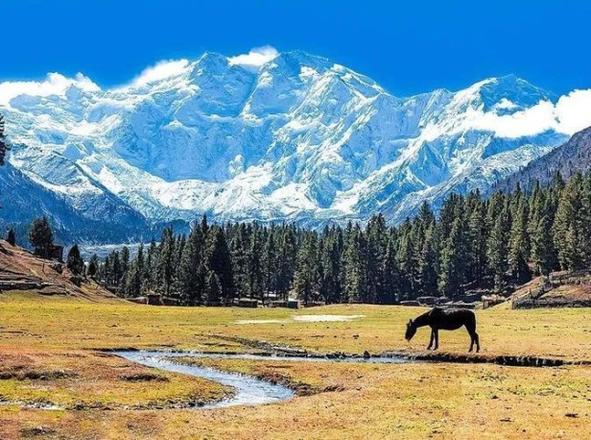 世界山峰高度排名前十（带你领略海拔最高的十大山脉）