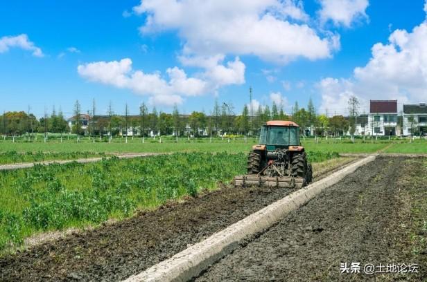 流转土地国家每亩地补贴多少钱？种粮大户100亩以上补贴标准