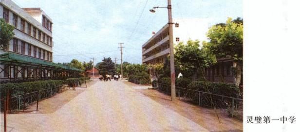 安徽灵璧县属于哪个市（灵璧县行政区划及历史沿革）