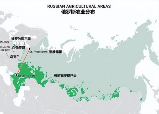 俄罗斯的主要农业区分布在哪里？
