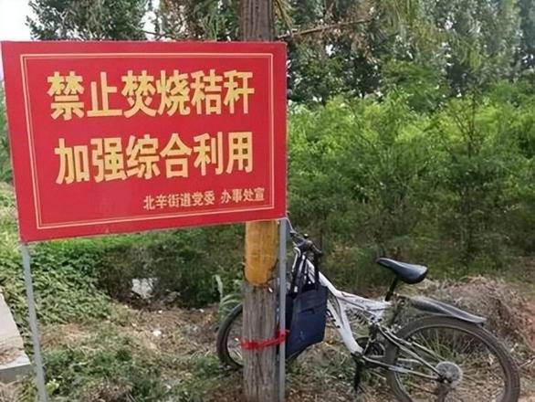 为什么禁烧秸秆，那这些秸秆又该如何处理呢？