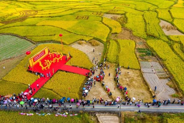 浙江文成县属于哪个市（文成县行政区划及历史沿革）