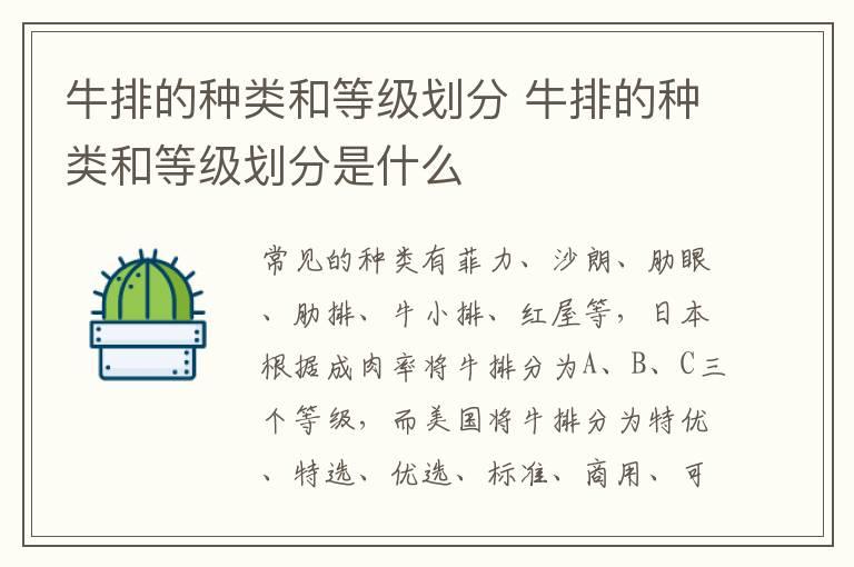 牛排的种类和等级划分 牛排的种类和等级划分是什么