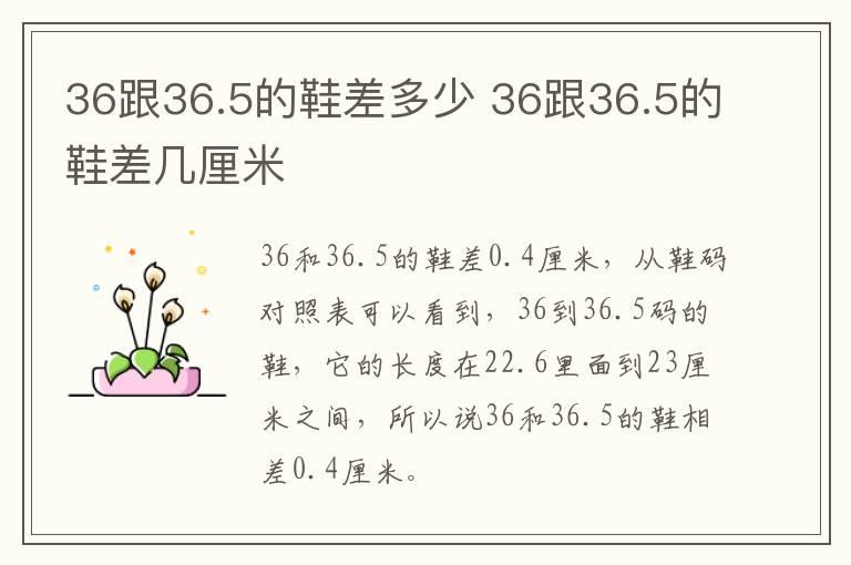 36跟36.5的鞋差多少 36跟36.5的鞋差几厘米