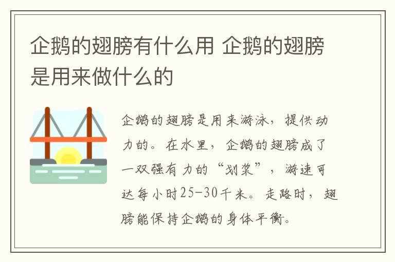 企鹅的翅膀有什么用 企鹅的翅膀是用来做什么的