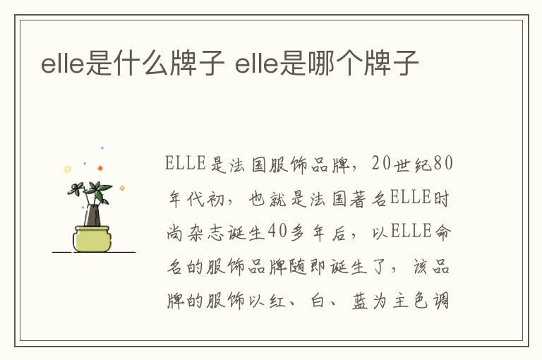 elle是什么牌子 elle是哪个牌子