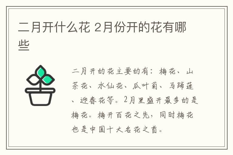 二月开什么花 2月份开的花有哪些