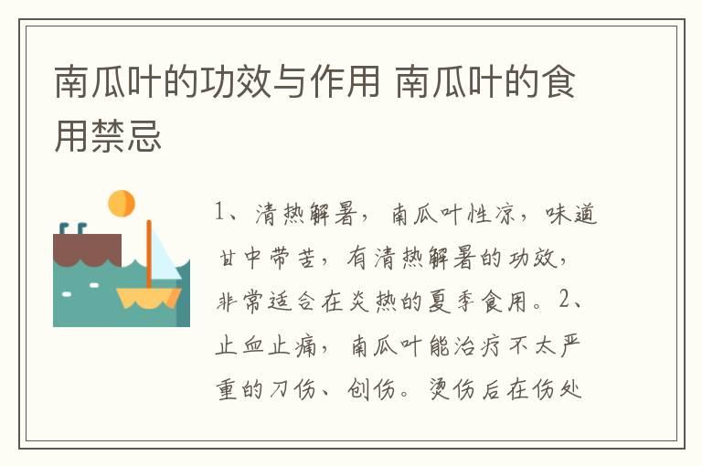 南瓜叶的功效与作用 南瓜叶的食用禁忌