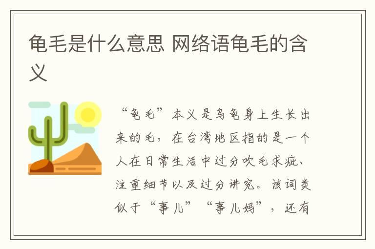 龟毛是什么意思 网络语龟毛的含义