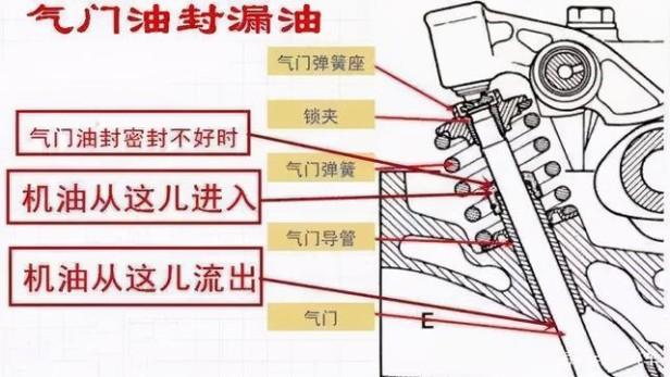 大众车烧机油是真的吗（大众什么车型的发动机容易烧机油）(5)