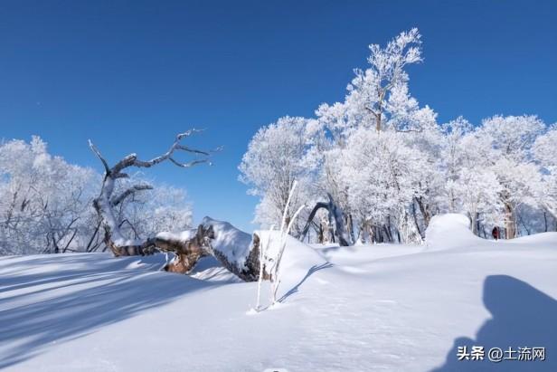 我国大雪节气的含义是什么意思？大雪不见雪有什么说法？