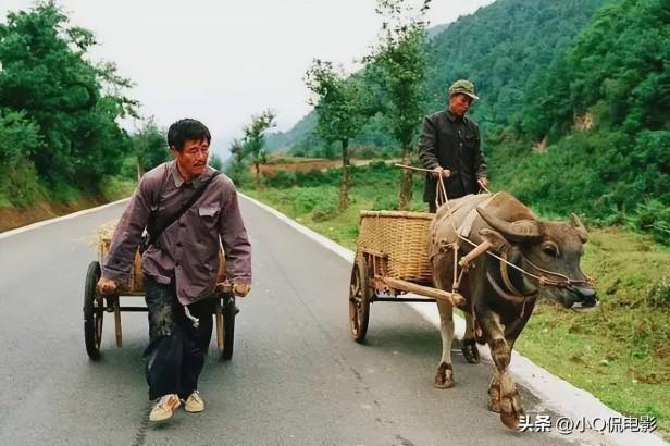 最好看的公路片电影有哪些（十部值得细品的公路电影）