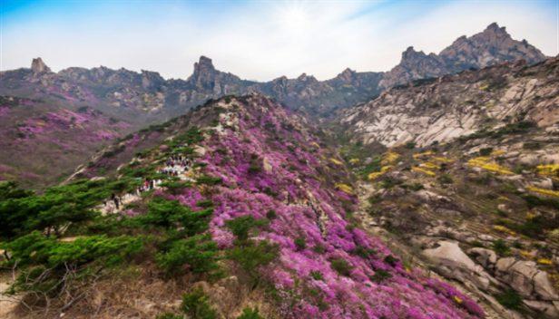 山东青岛适合孩子玩的地方有哪些（青岛带孩子值得去的景点推荐）