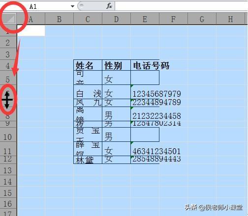 如何调整表格的行高和列宽（分享几种调整excel表格行高与列宽方法）(2)